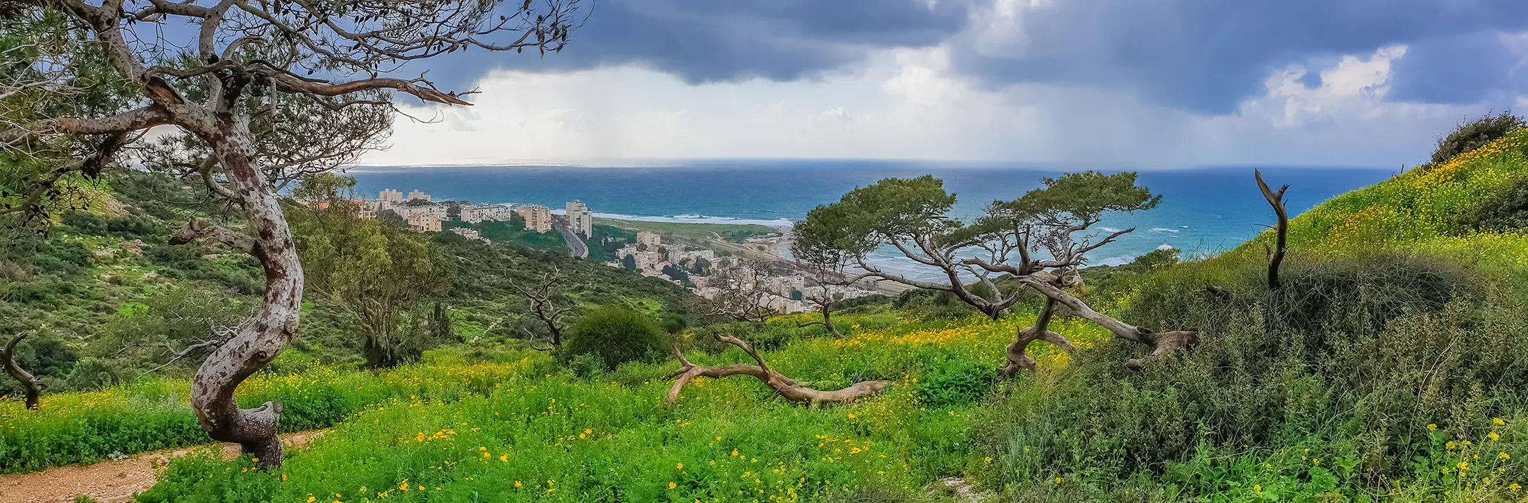 פינחס מקבל ברכה ייחודית מאת ה', וממונה ל'כהונת עולם'